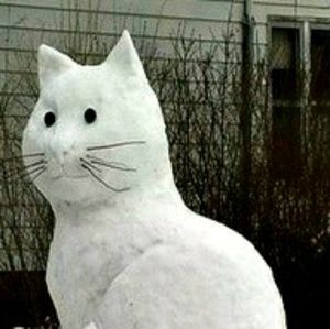 Meet your Posher, Candice